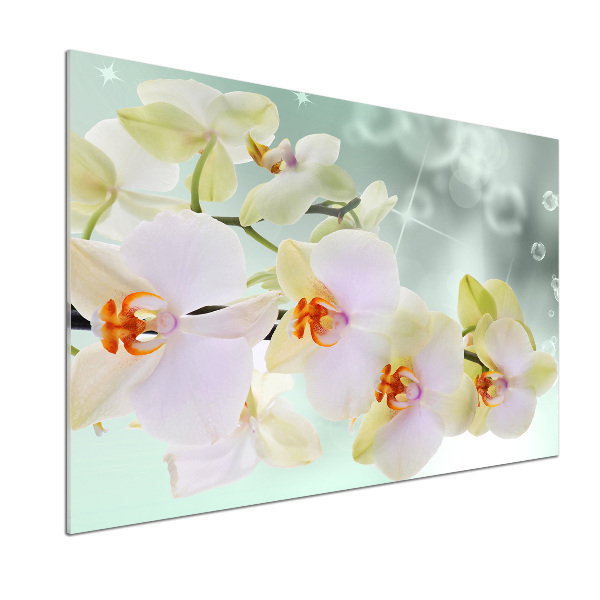 Kitchen splashback White orchid