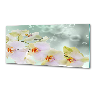 Kitchen splashback White orchid