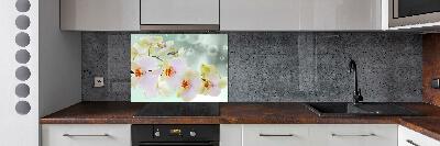 Kitchen splashback White orchid