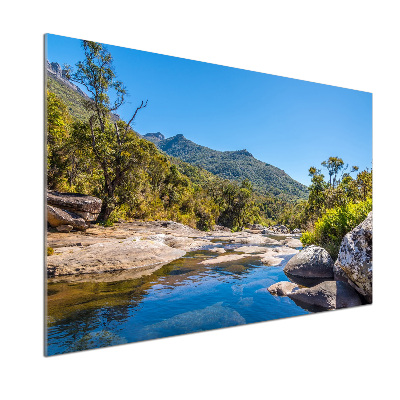 Hob splashback River in the forest