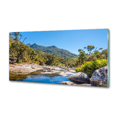 Hob splashback River in the forest