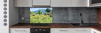 Kitchen wall panels Lake Malawi