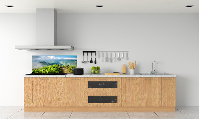 Kitchen wall panels Trail on the top