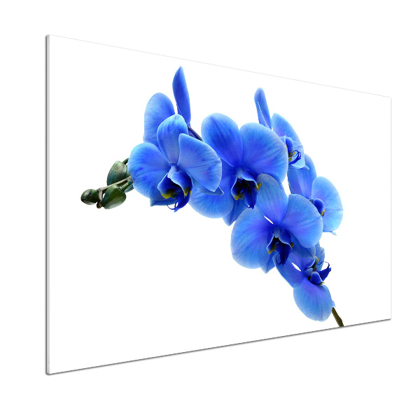 Kitchen splashback Blue orchid