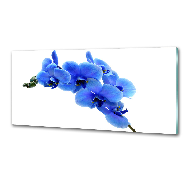 Kitchen splashback Blue orchid