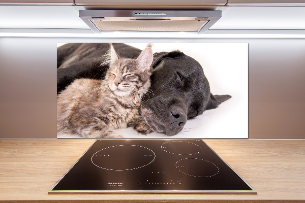 Cooker splashback Dog with a cat