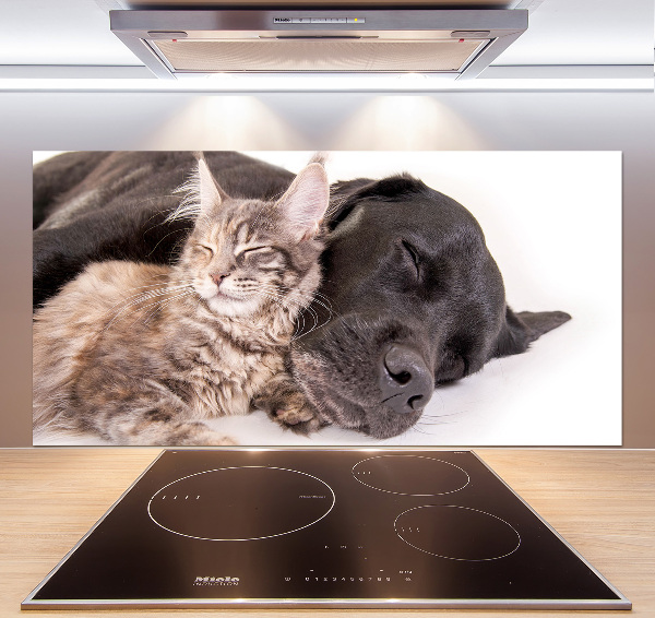 Cooker splashback Dog with a cat