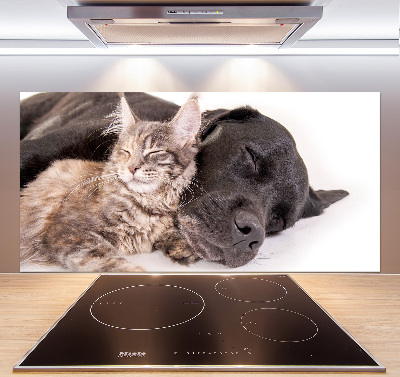 Cooker splashback Dog with a cat