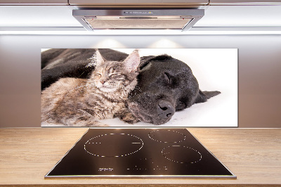 Cooker splashback Dog with a cat