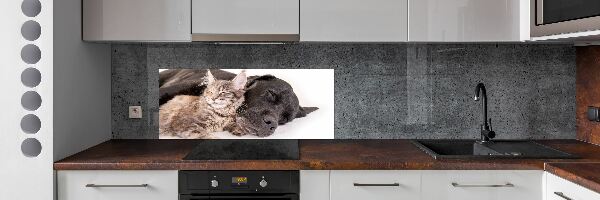 Cooker splashback Dog with a cat