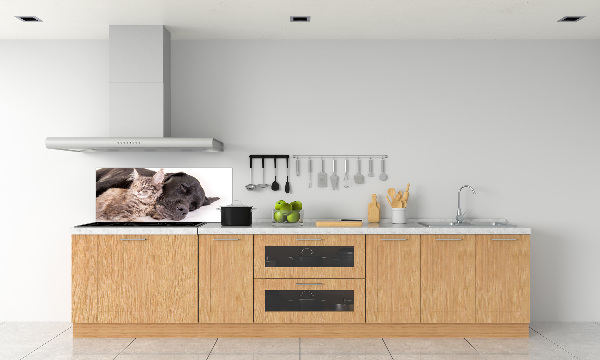 Cooker splashback Dog with a cat