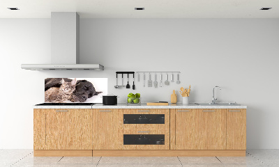 Cooker splashback Dog with a cat