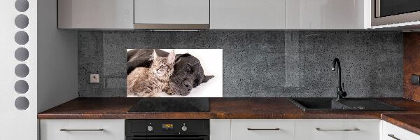 Cooker splashback Dog with a cat