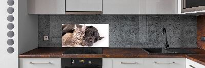 Cooker splashback Dog with a cat