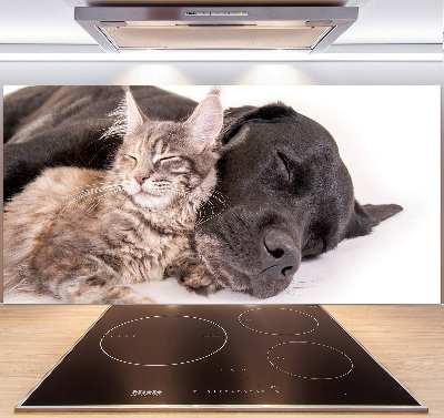 Cooker splashback Dog with a cat