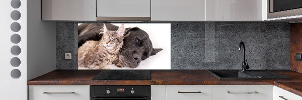 Cooker splashback Dog with a cat