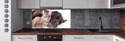 Cooker splashback Dog with a cat