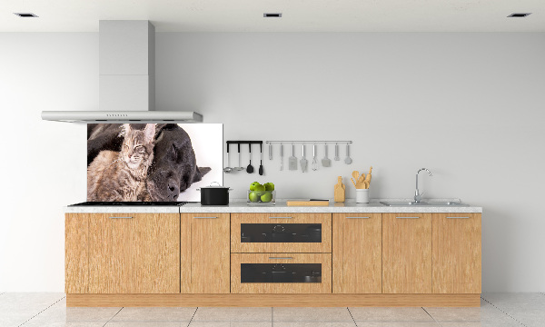 Cooker splashback Dog with a cat