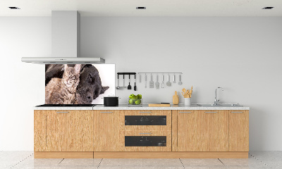 Cooker splashback Dog with a cat