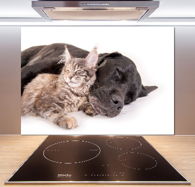 Cooker splashback Dog with a cat