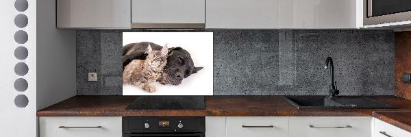 Cooker splashback Dog with a cat