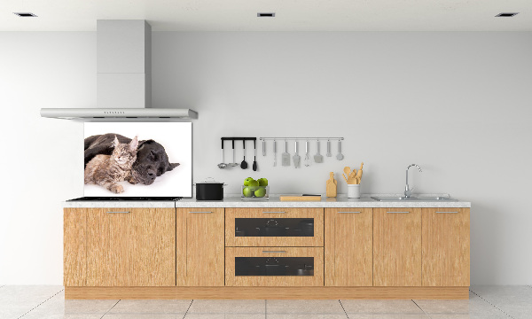 Cooker splashback Dog with a cat