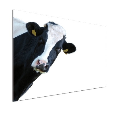 Cooker splashback Cow