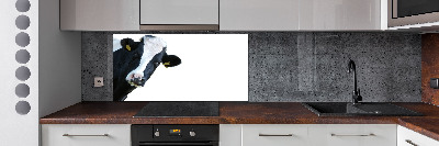 Cooker splashback Cow