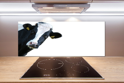 Cooker splashback Cow