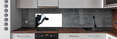 Cooker splashback Cow