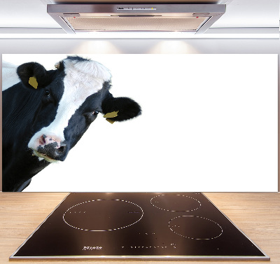 Cooker splashback Cow