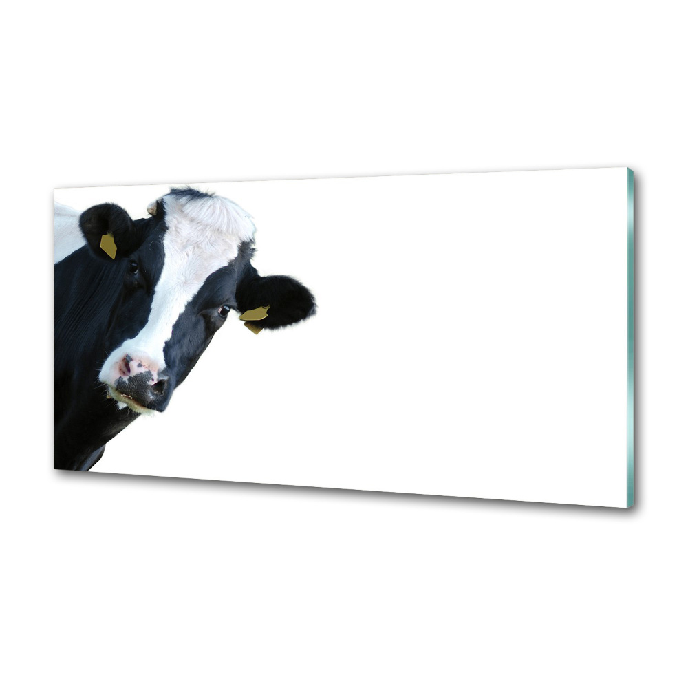 Cooker splashback Cow