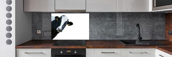 Cooker splashback Cow