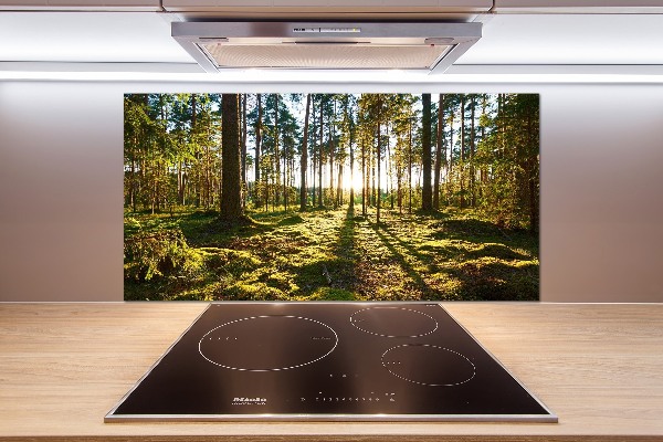 Kitchen splashback a pine forest