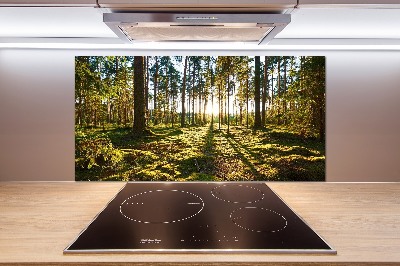 Kitchen splashback a pine forest