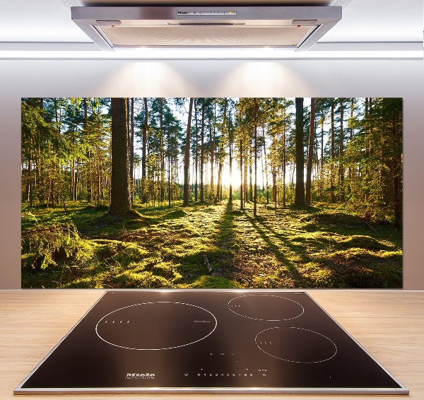 Kitchen splashback a pine forest