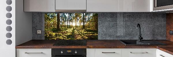 Kitchen splashback a pine forest