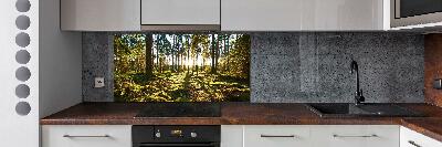 Kitchen splashback a pine forest