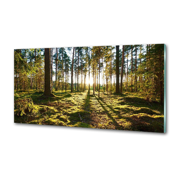 Kitchen splashback a pine forest