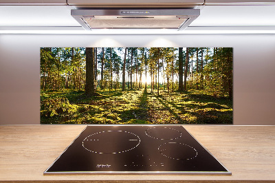 Kitchen splashback a pine forest