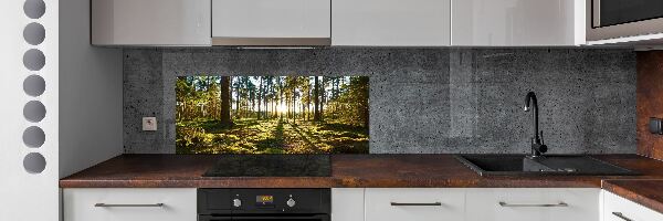 Kitchen splashback a pine forest