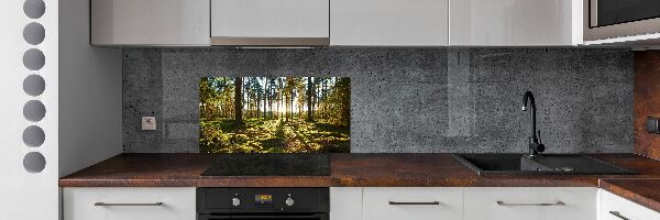 Kitchen splashback a pine forest