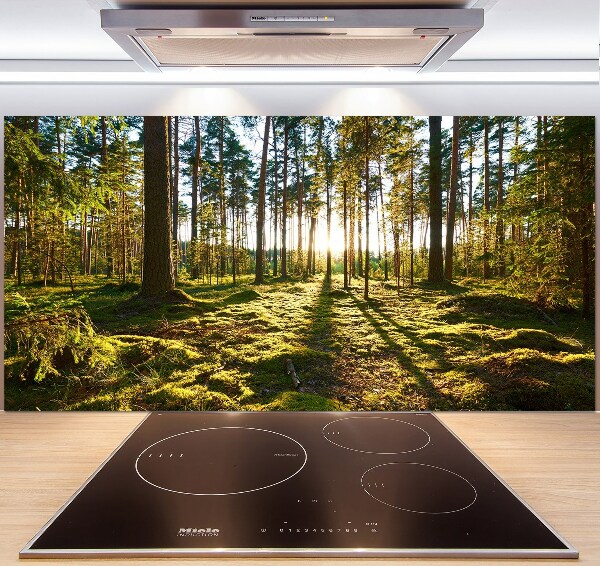 Kitchen splashback a pine forest