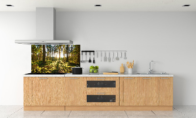 Kitchen splashback a pine forest