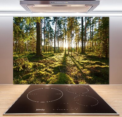 Kitchen splashback a pine forest