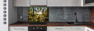 Kitchen splashback a pine forest