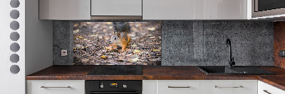 Cooker splashback Squirrel