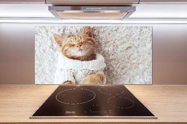 Glass splashback A kitten in a sweater