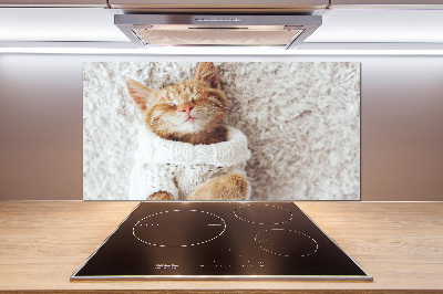 Glass splashback A kitten in a sweater