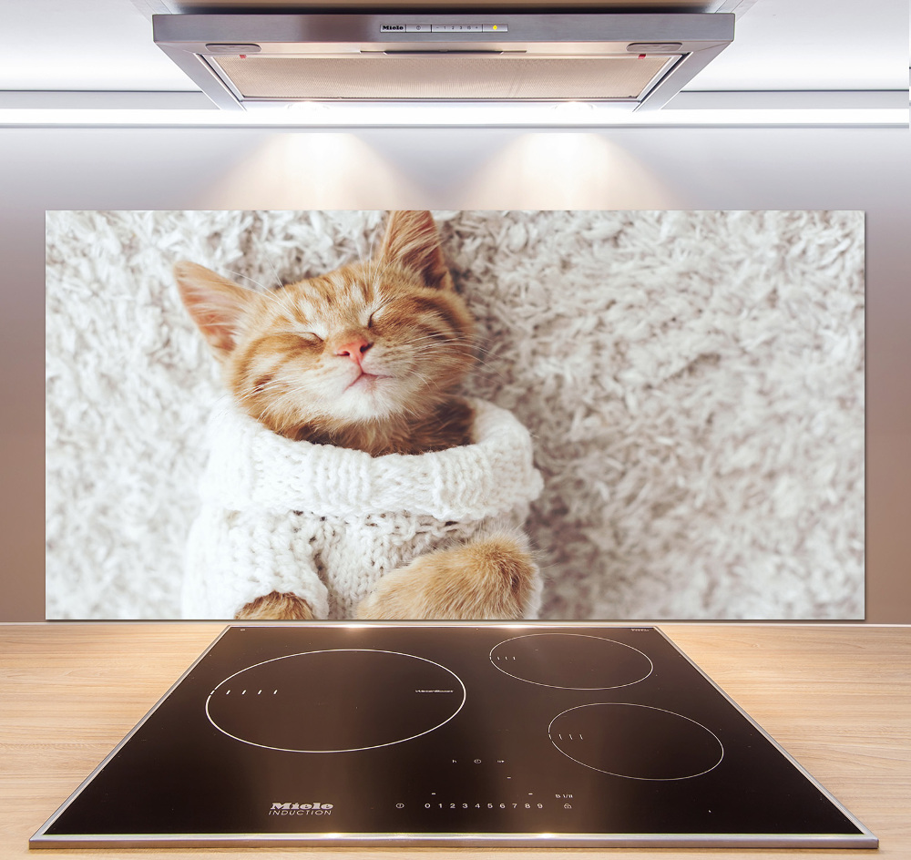 Glass splashback A kitten in a sweater